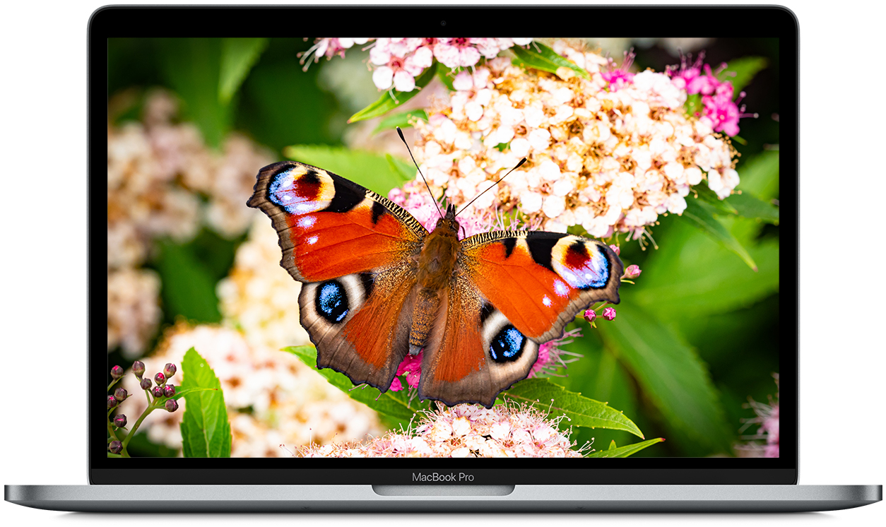 MacBook with butterfly on screen
